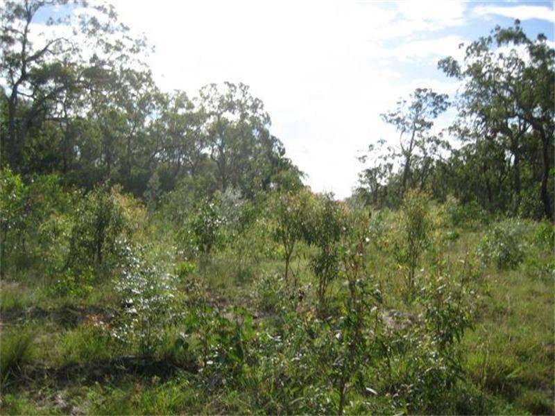 185 Alan Schmidt Road, South Kolan QLD 4670