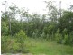 185 Alan Schmidt Road, South Kolan QLD 4670
