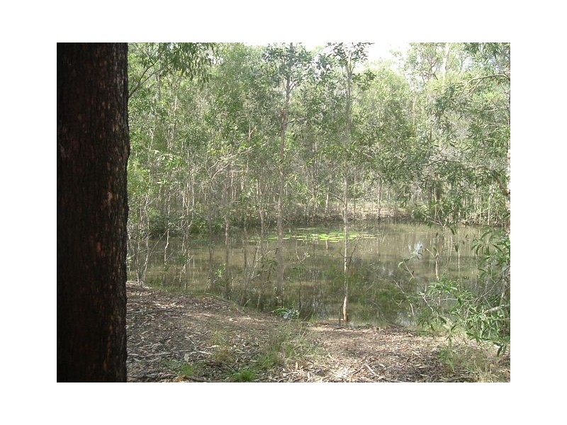 Baffle Creek QLD 4674