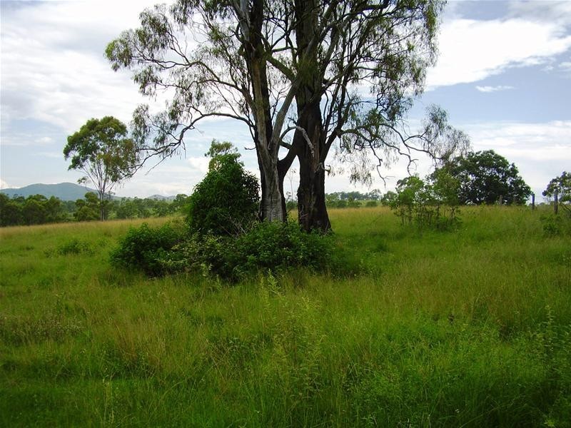 Rosedale QLD 4674