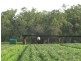 Redridge QLD 4660