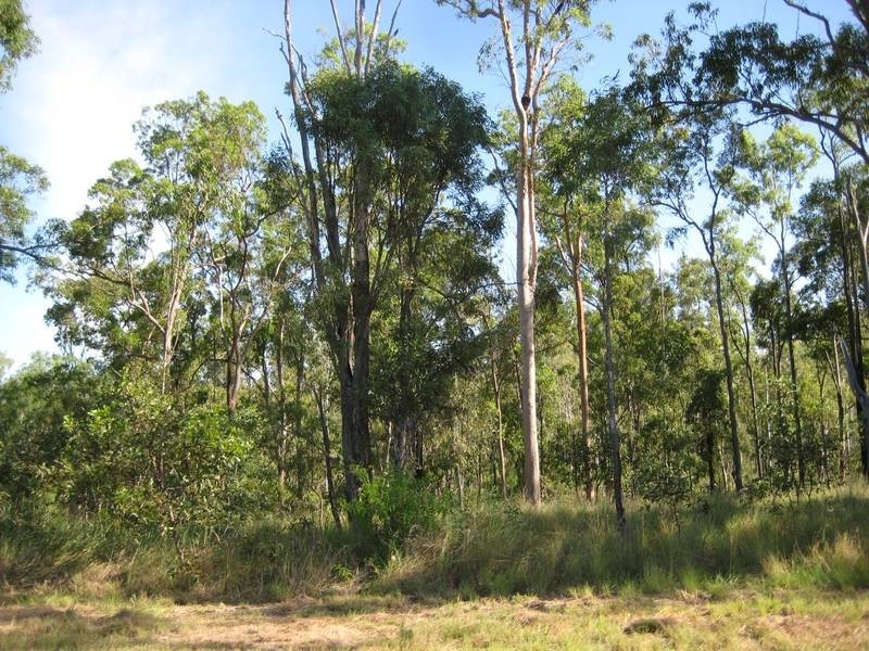 Redridge QLD 4660