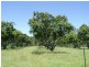 Bullyard QLD 4671