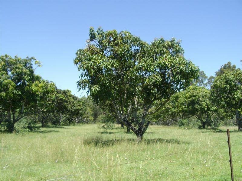 Bullyard QLD 4671