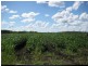 Gin Gin QLD 4671