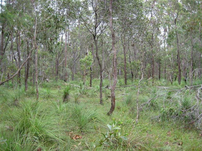 South Kolan QLD 4670