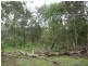 South Kolan QLD 4670