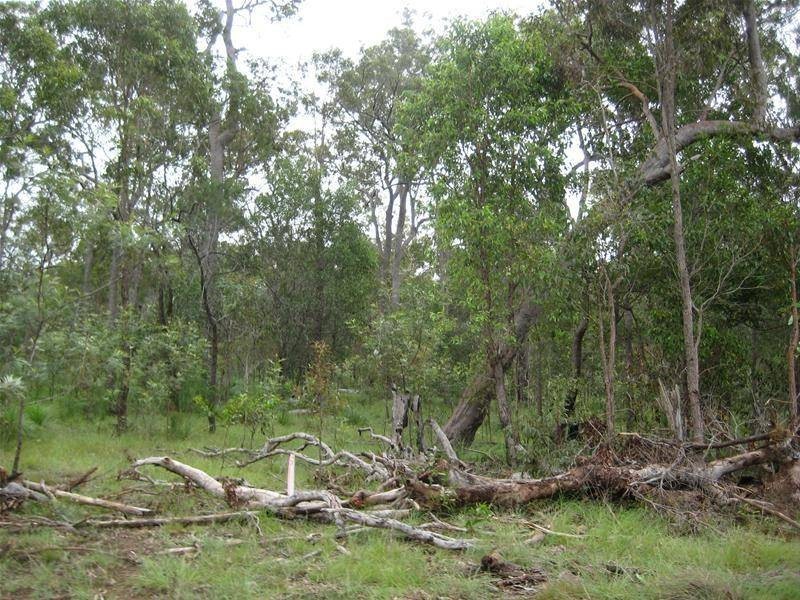 South Kolan QLD 4670