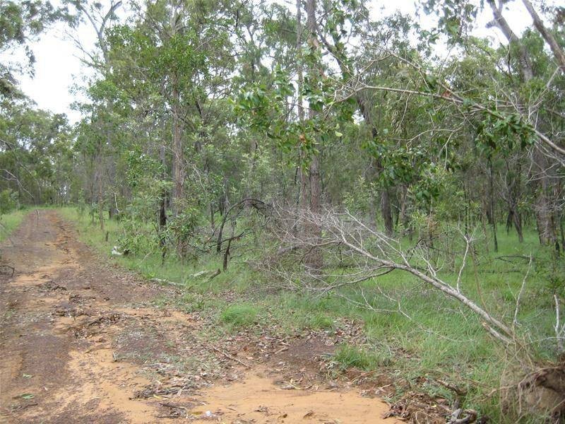 South Kolan QLD 4670