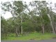 South Kolan QLD 4670