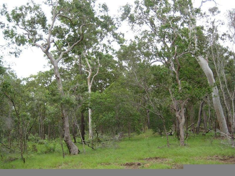 South Kolan QLD 4670
