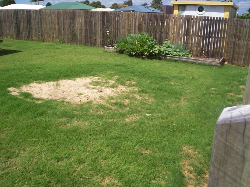 Bundaberg North QLD 4670