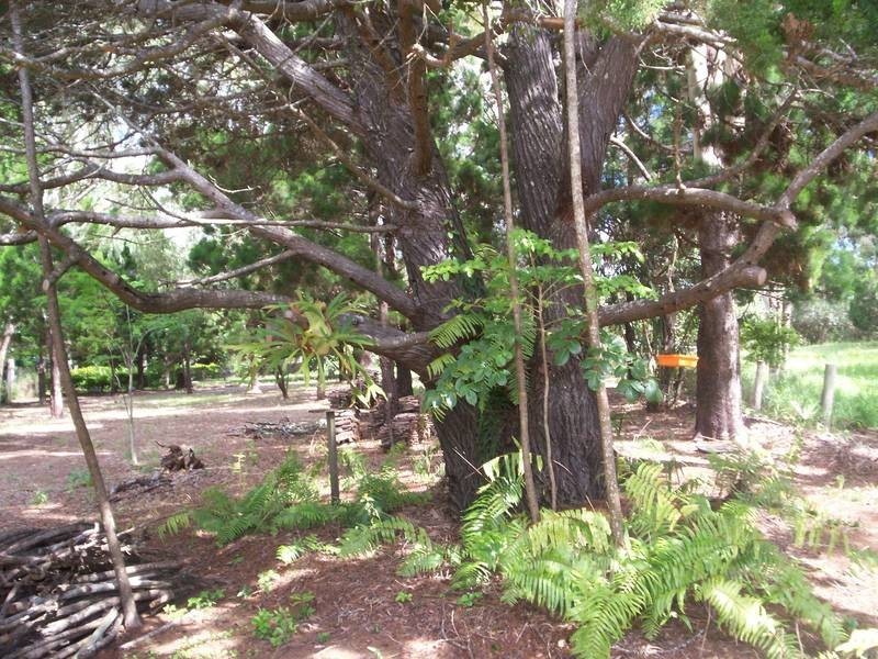 Moore Park QLD 4670