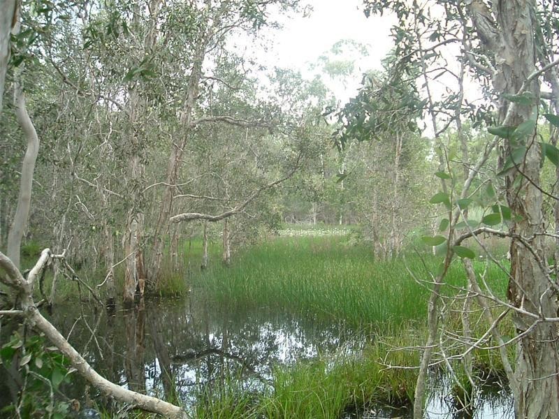 Baffle Creek QLD 4674