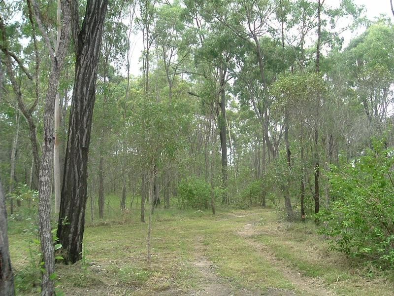 Baffle Creek QLD 4674