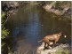 Mount Maria QLD 4674