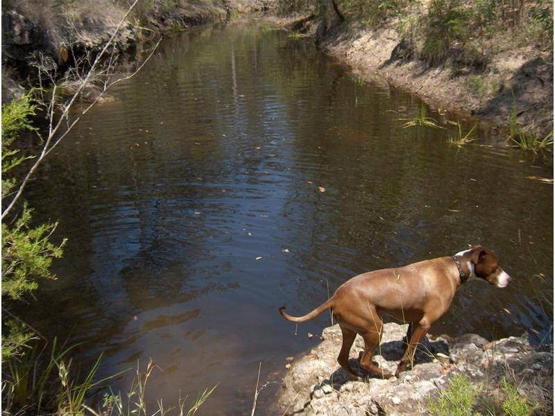 Mount Maria QLD 4674