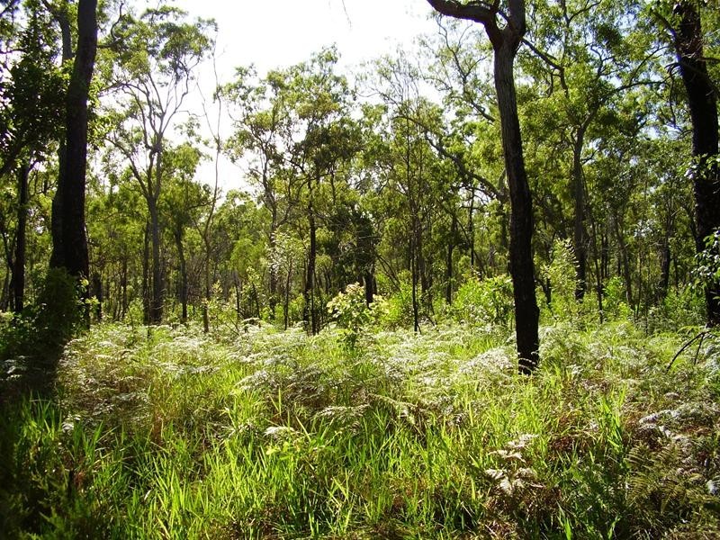 Mount Maria QLD 4674