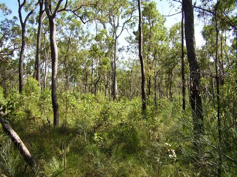 Mount Maria QLD 4674