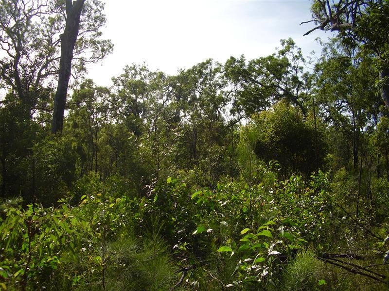 Mount Maria QLD 4674