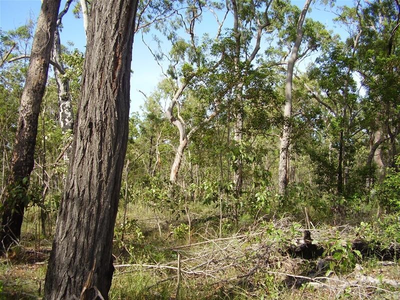 Mount Maria QLD 4674