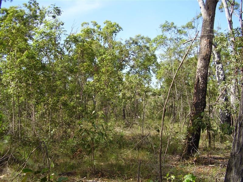Mount Maria QLD 4674