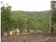 Butchers Rd, Childers QLD 4660