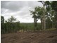 Butchers Rd, Childers QLD 4660