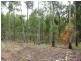 Butchers Rd, Childers QLD 4660
