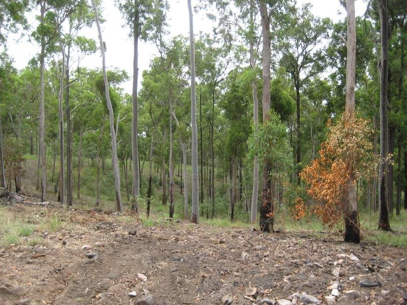 Butchers Rd, Childers QLD 4660