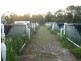 Alloway QLD 4670