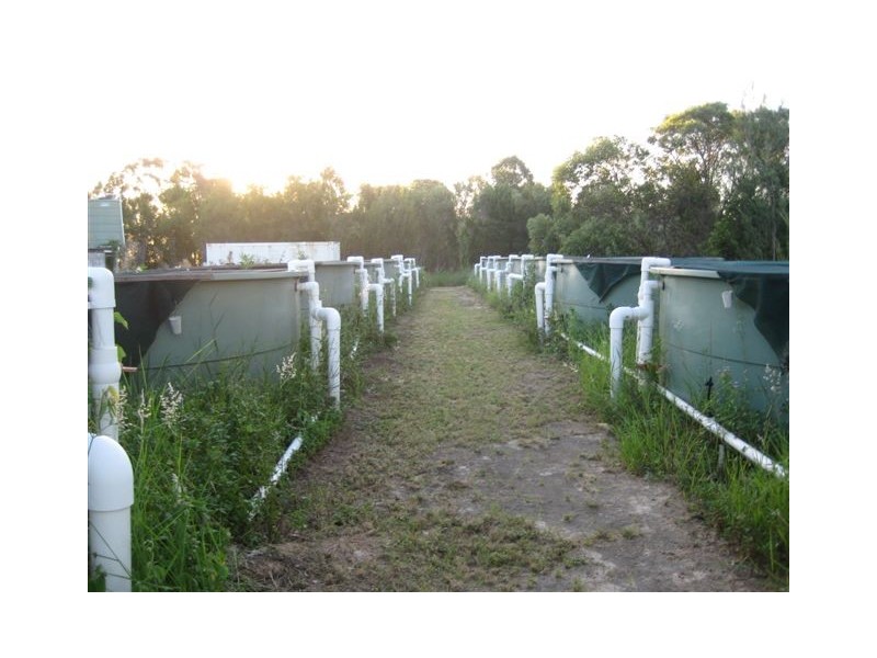 Alloway QLD 4670