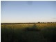 Alloway QLD 4670