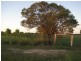 Alloway QLD 4670