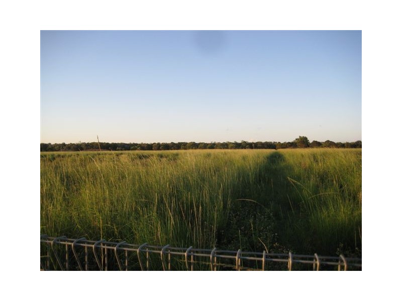 Alloway QLD 4670