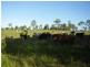 Mount Maria QLD 4674