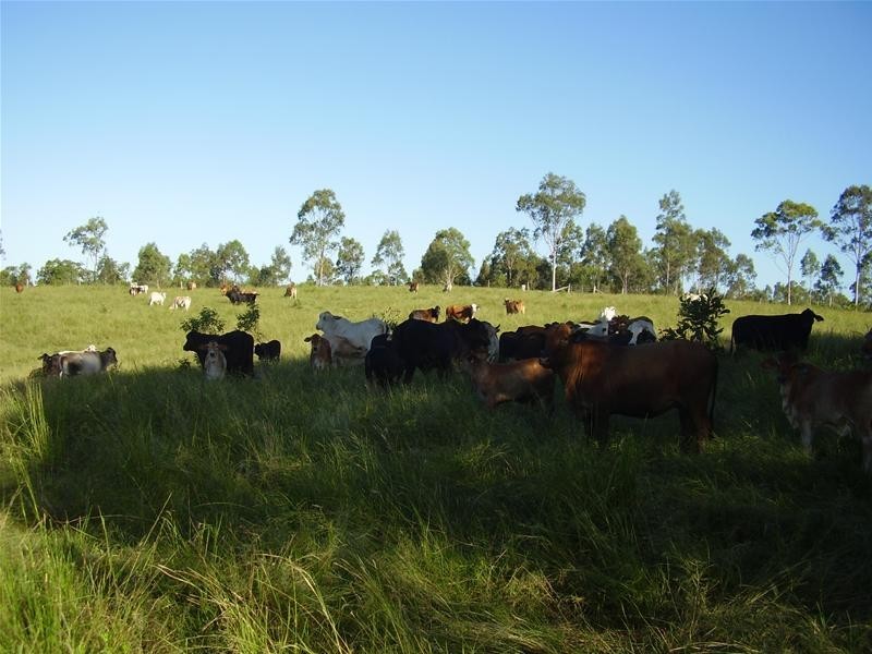 Mount Maria QLD 4674