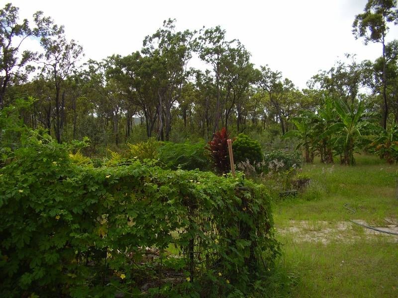 Mount Maria QLD 4674