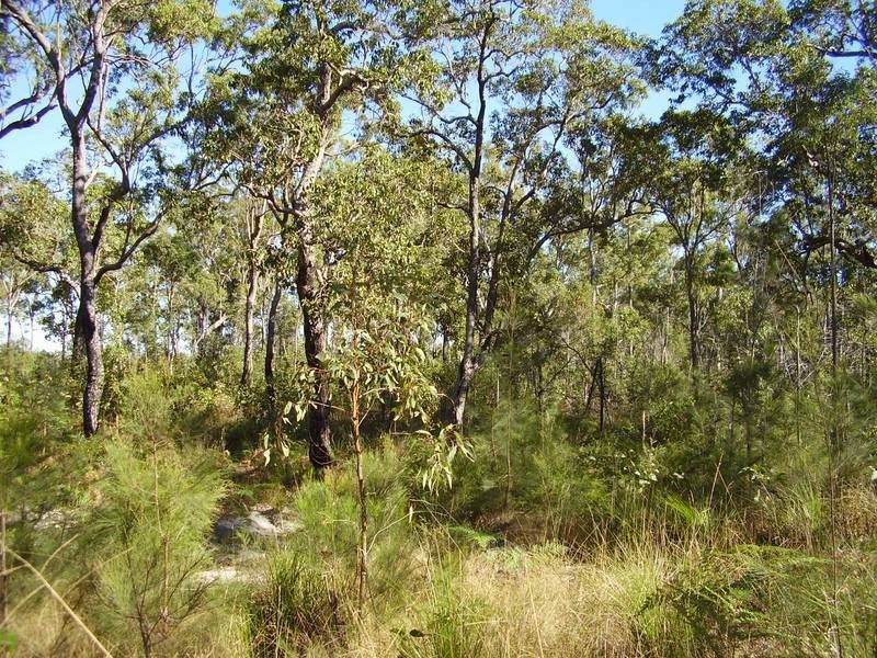 Mount Maria QLD 4674