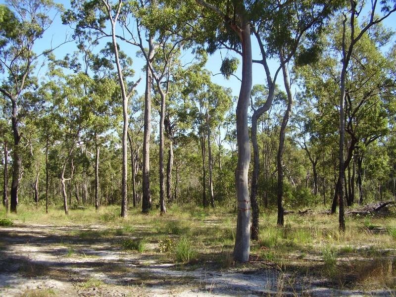 Mount Maria QLD 4674