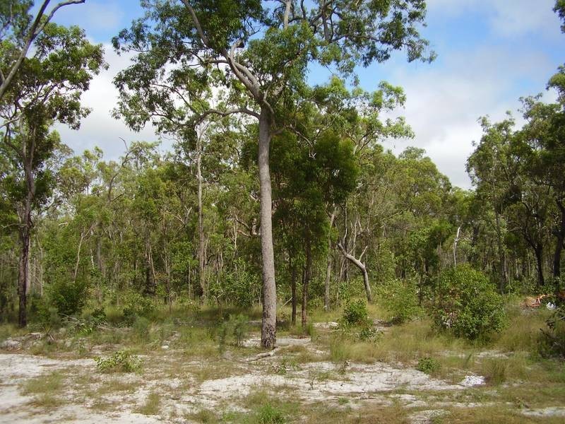 Mount Maria QLD 4674