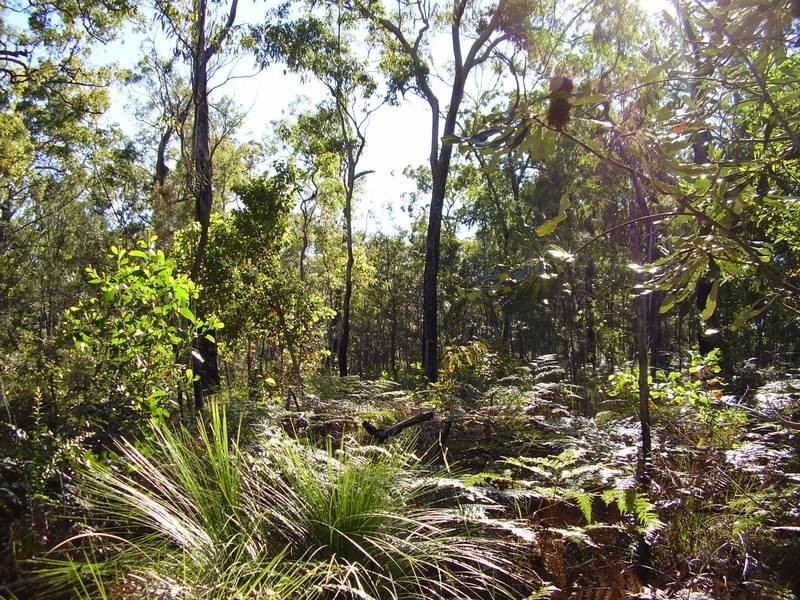 Mount Maria QLD 4674