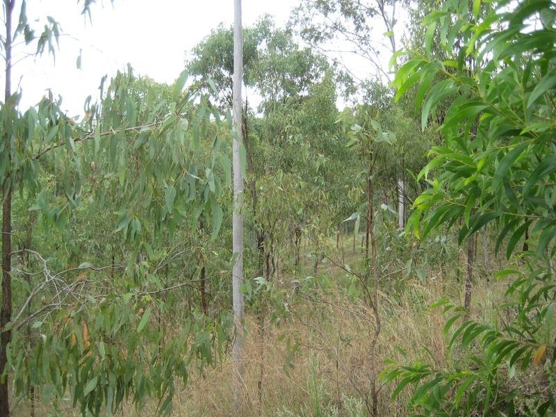 Moolboolaman QLD 4671