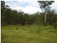 Euleilah QLD 4674