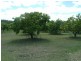 Delan QLD 4671