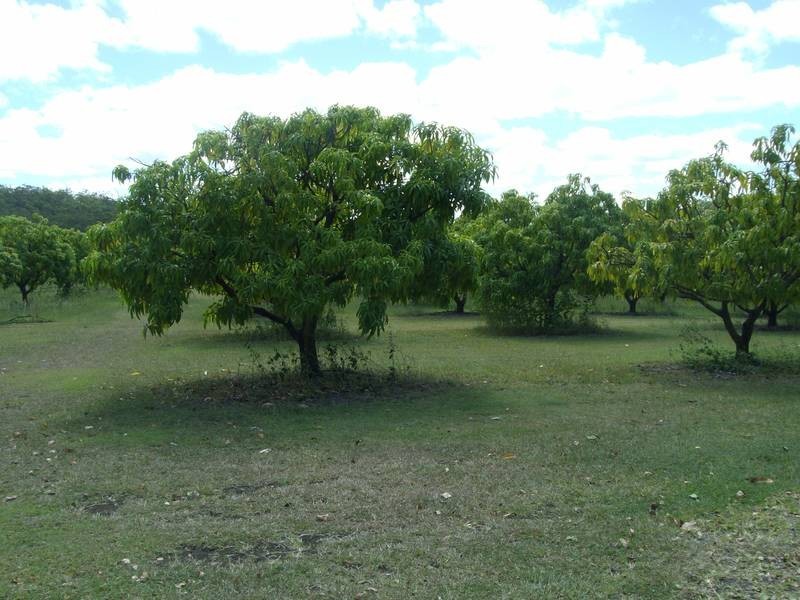 Delan QLD 4671