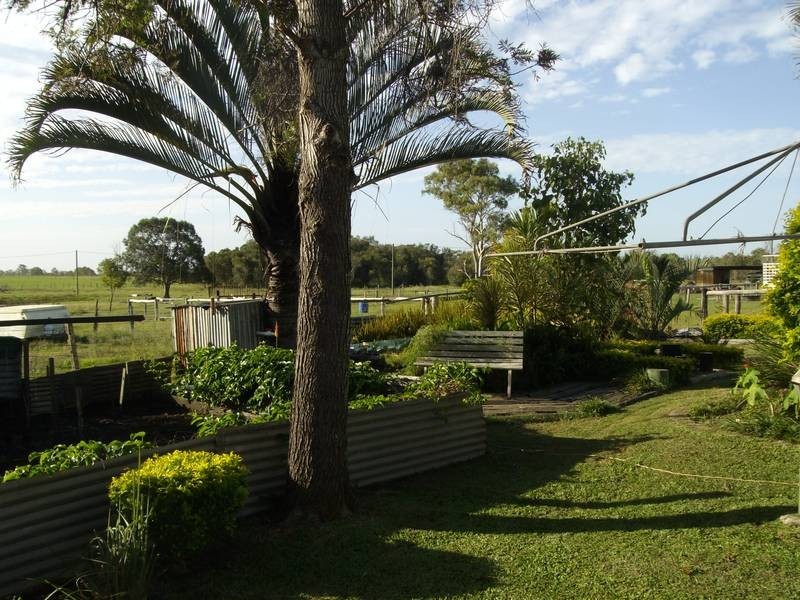 South Kolan QLD 4670