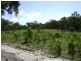 Deepwater QLD 4674