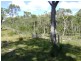 Deepwater QLD 4674