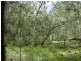 Deepwater QLD 4674